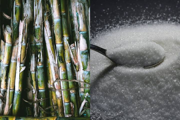 Aranceles al azúcar: México anuncia incremento de 210% por importación