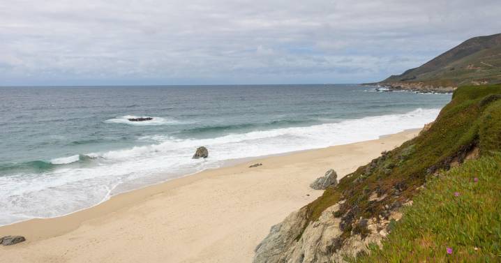 Father dies, 5-year-old daughter missing after family swept into ocean in Monterey County