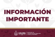 Seidum previene por cierres intermitentes este sábado en la autopista Colima