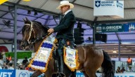 Conozca aquí a los ganadores de la quinta jornada de la Mundial de Caballos de paso