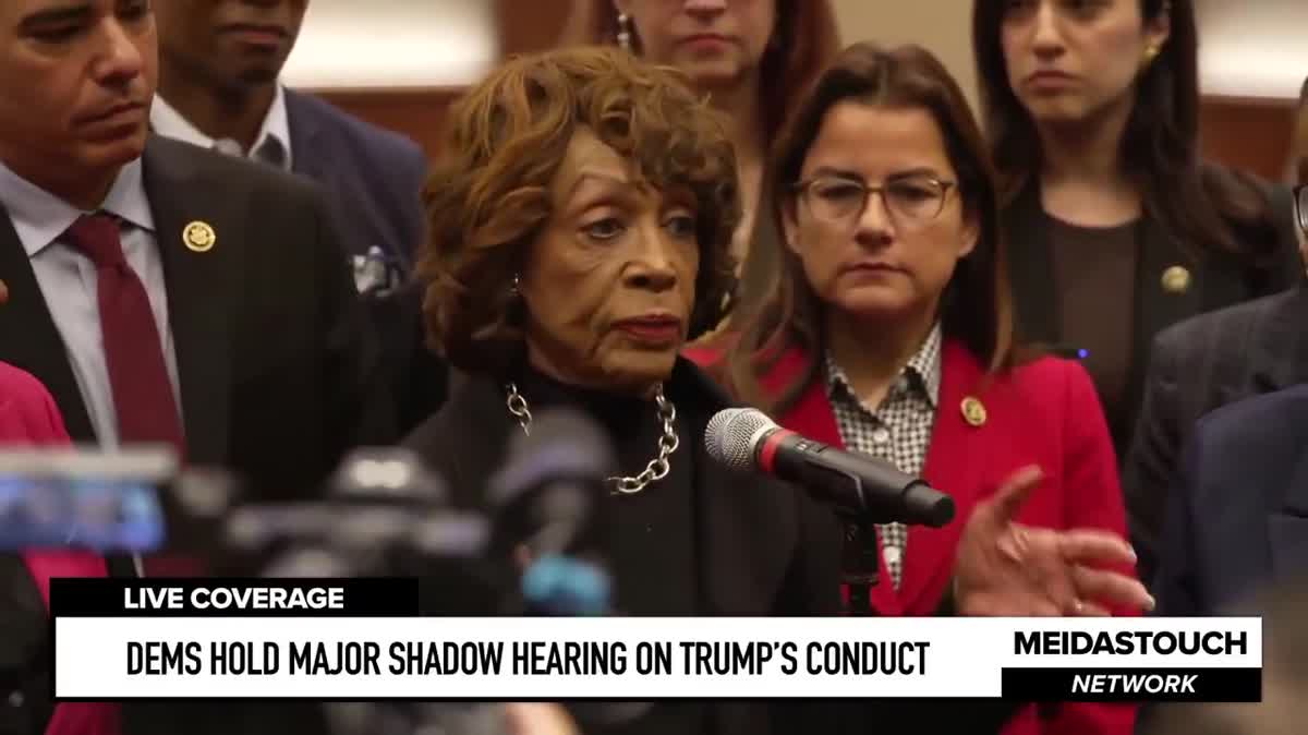 Rep Maxine Waters Describes Trump Perfectly
