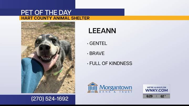 Pet of the Day: LeeAnn