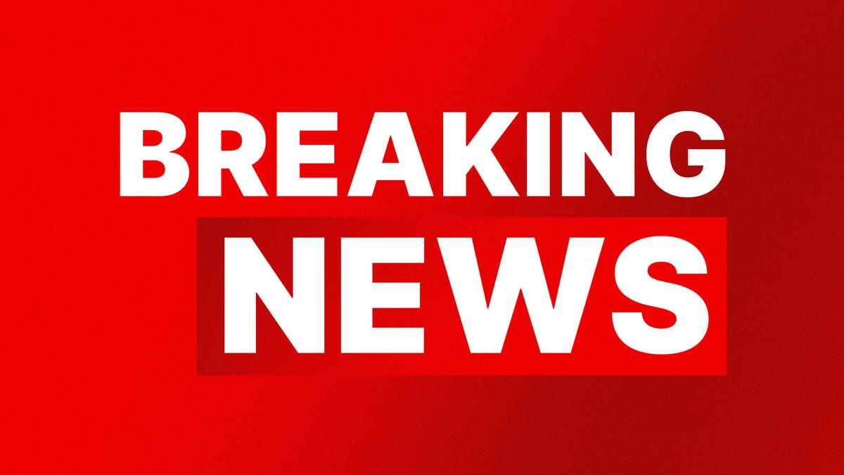 Bali mini bus crash: Five Chinese tourists killed after vehicle plunges into ravine