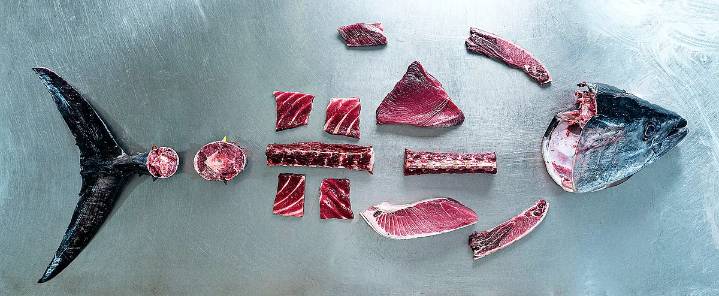 Grupo Ricardo Fuentes, la empresa familiar que más atún rojo produce del mundo: 18.000 toneladas al año y factura 257 millones