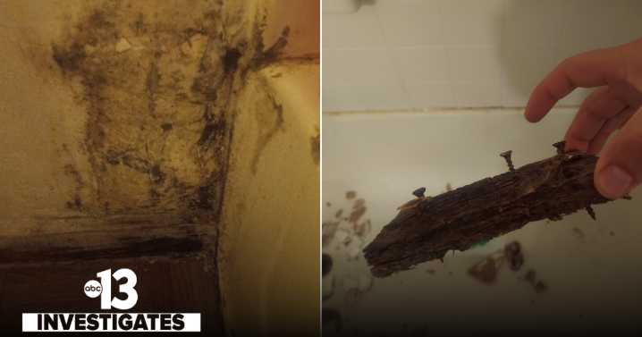 Las Vegas family battles toxic mold in corporate