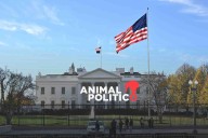 EU revisará residencia permanente a ciudadanos de estos países tras ataque a guardias nacionales