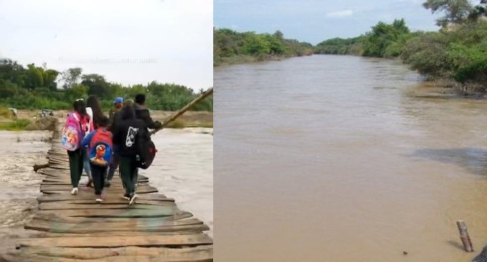 Lambayeque: niños cruzan puente artesanal sobre río La Leche y ponen en riesgo sus vidas