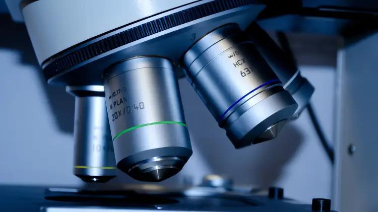 La especialización con más demanda profesional en odontología es la restauradora