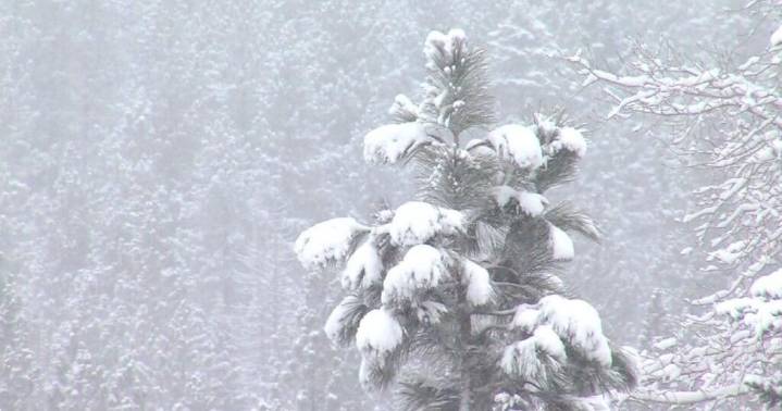 Madison declares snow emergency as major snowfall approaches