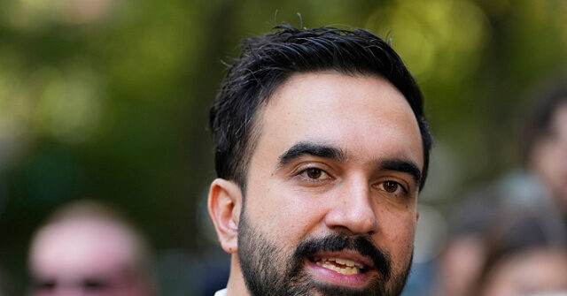 Exclusive — Veteran Democratic Operative: Mamdani, Radical DSA Seized Democratic Party 'Carcass'