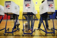 Thank you to New Yorkers for going to the polls — let's hope you chose wisely