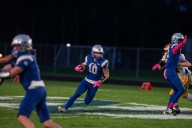 Nouvel holds off Michigan Lutheran Seminary, claims D8 playoff win to sweep Cardinals