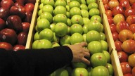 Some Washington growers hate Honeycrisp apples