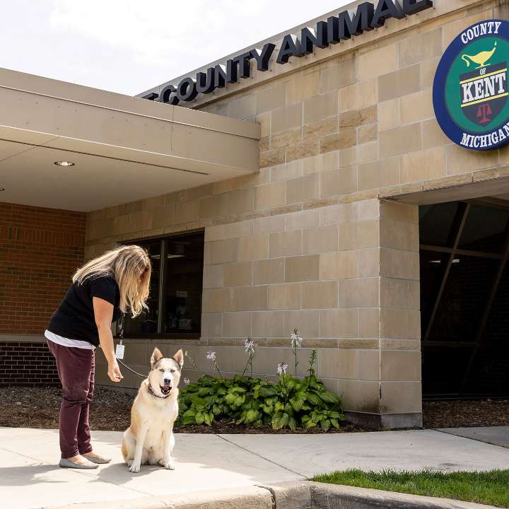 Michigan Dog Rescued With Heartfelt Letter From Someone Who Still Cares