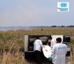 Agricultor fue hallado calcinado en su finca de San Luis de Palenque