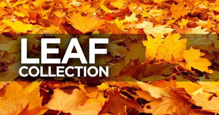 Easy leaf pick-up requests continues, and they will help with tonight's storms