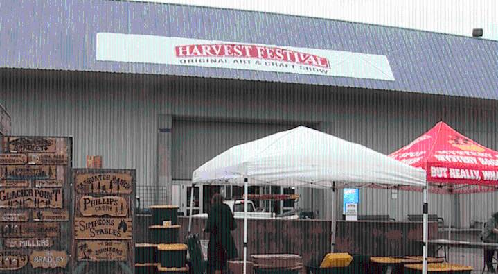Harvest Festival showcases small businesses and their stories