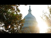 Government shutdown end in sight: The politics, flight delays and Trump's reaction