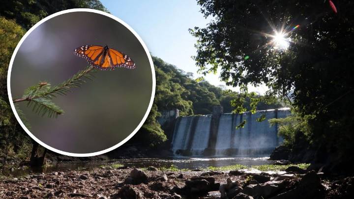 Cuántas reservas de biósfera hay en Puebla y por qué se llaman así