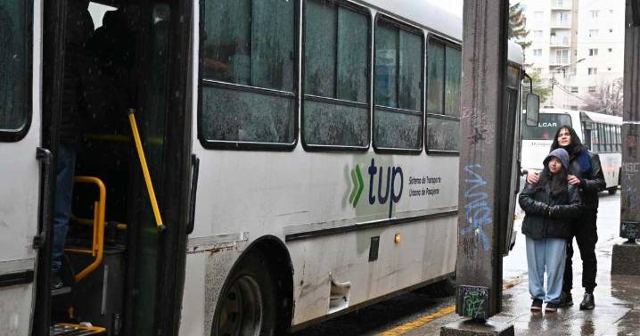 En Bariloche el boleto para turistas podría llegar a 2.045 pesos: la empresa pidió un aumento