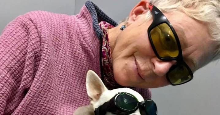 "I just screamed no, no, no": Woman left traumatised as horror attack leaves pet chihuahua dead