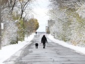 Ottawa's first snow not expected to stick around, climatologist says
