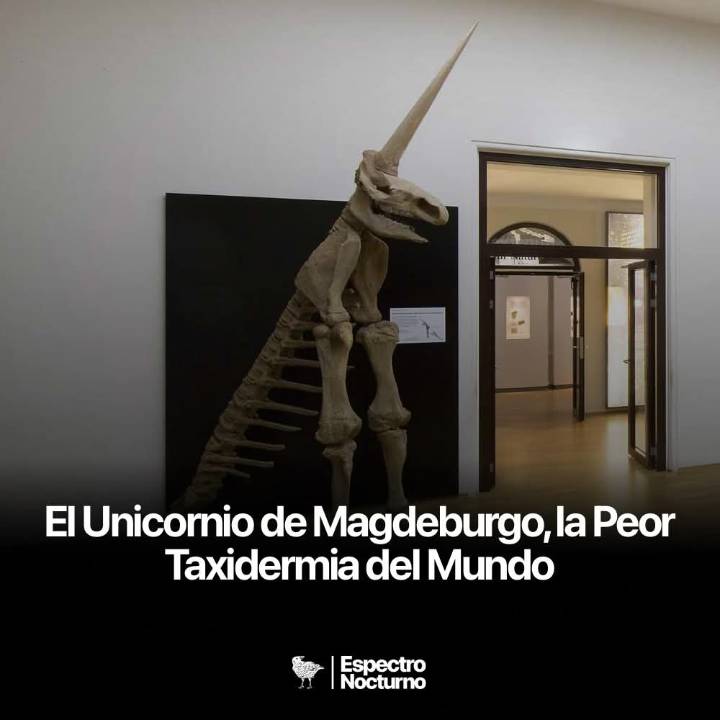 un hallazgo en 1663 marcó para siempre la historia de la ciencia y del ridículo