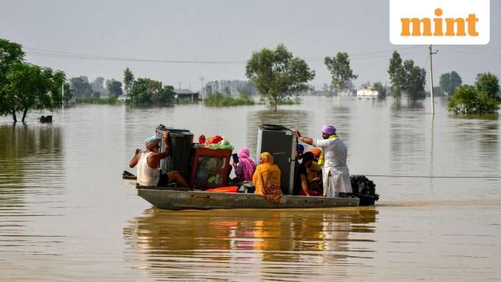 Crucial or merely symbolic? What people think of COP30 and climate change