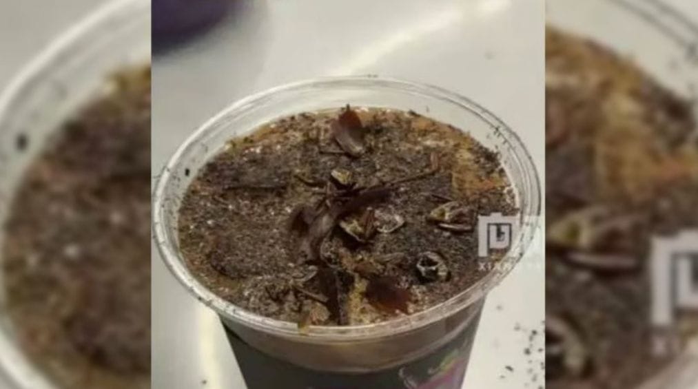 Cafetería crea café con cucarachas y chavos hacen filas para probarlo