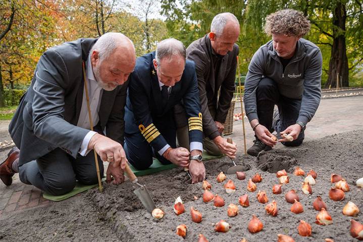 Holland America Unveils Tulip Variety to Celebrate Heritage