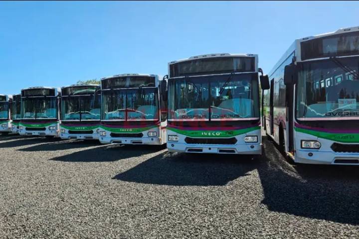Transporte urbano de Paraná: arribaron los nuevos colectivos que circularán desde diciembre