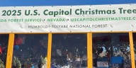 Weekend Roundup: Capitol Christmas tree comes to Lexington, Bluebird Cafe Experience, and holiday market