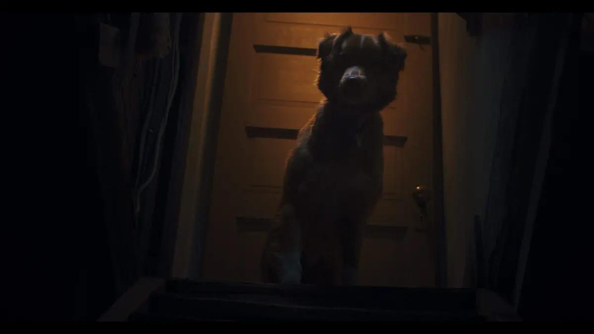 Indy, el perrito que protagoniza la cinta de terror “Good Boy”