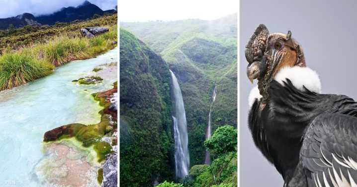 El mágico lugar de Popayán donde nacen cuatro de los grandes ríos de Colombia