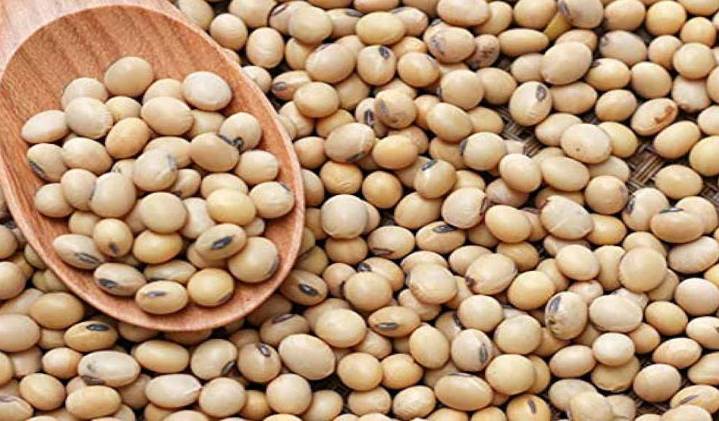 Soy farmers block traffic in Nirmal protesting against delay in procuring grains