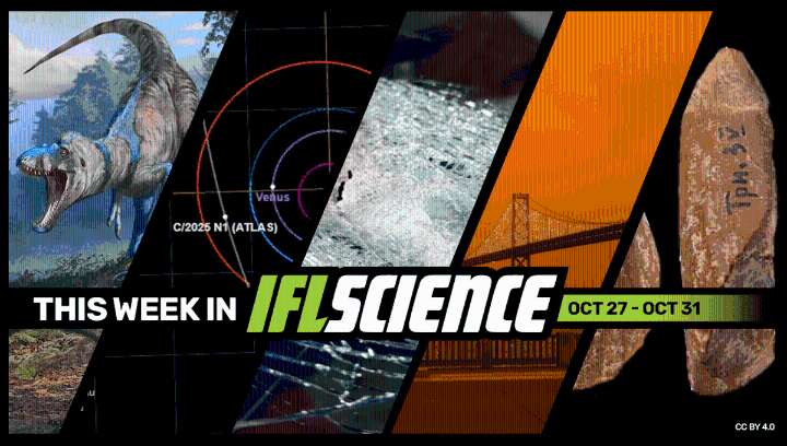 "Dueling Dinosaurs" Fossil Confirms Nanotyrannus As Own Species, Interstellar Comet 3I/ATLAS Is Back From Behind The Sun, And Much More This Week