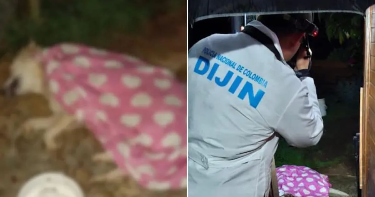 Un hombre habría matado a un perro por subirse a una cama sin permiso