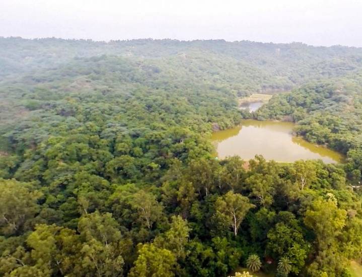 Post Cabinet approval to low-impact housing policy, foresters remind govt of eco