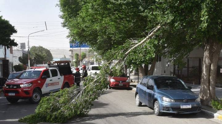 Relevamiento de daños causados por el temporal