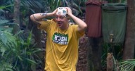I’m A Celebrity 2025 stars ‘forced to evacuate camp after safety fears’