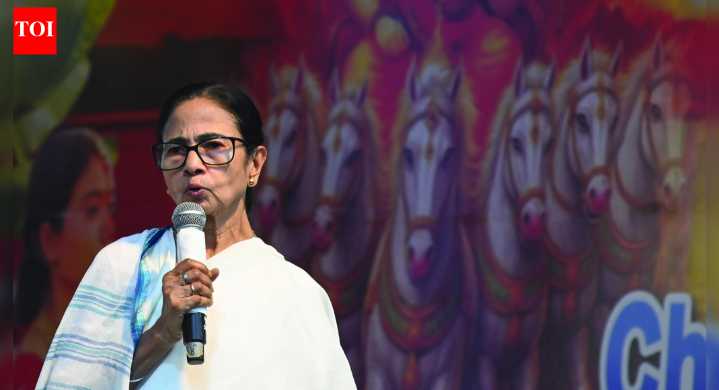 'Unplanned, chaotic, and dangerous': Mamata pens letter to CEC Gyanesh Kumar over SIR; day after BLOs death