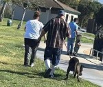 Investigation underway into deadly dog attack in Fremont