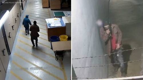 Surveillance video shows suspects in Oakland, California museum storage facility heist of over 1,000 items