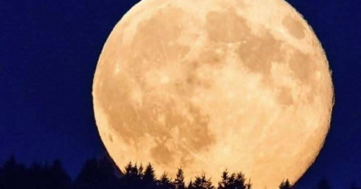 La Superluna de Castor y las lluvias de estrellas de Leónidas y Táuridas, eventos astronómicos de final de año