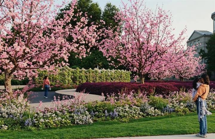 ‘An encounter with Jesus’: Artist behind living wall memorial for unborn shares mission