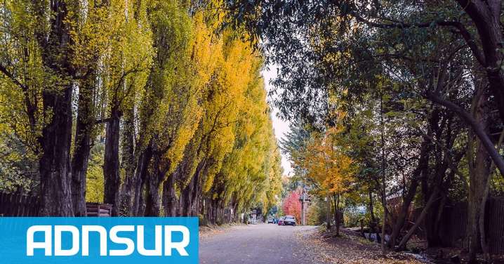 14:08 Un atleta sufrió un paro cardíaco mientras participaba en una importante competencia patagónica