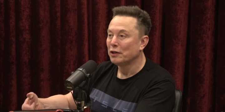 Turn off the money; they’ll leave: Elon Musk nails the border truth