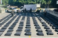 Caen casi dos toneladas de marihuana en el Valle del Cauca