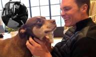 Tom Brady «regresa» a su perrita de la muerte gracias a la ciencia