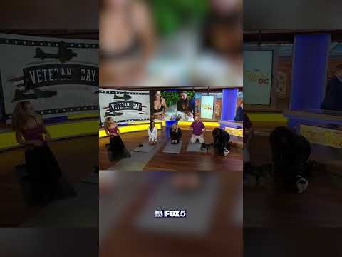 Puppy yoga for Veterans Day